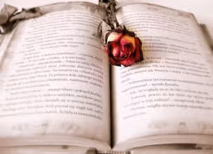 Storyland Adventure: Easy Literature Quiz for Kids
