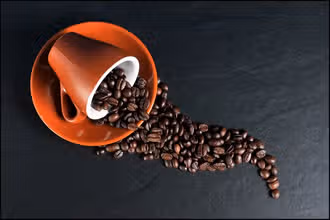 Coffee Clues: A Fun Quiz for Curious Kids!