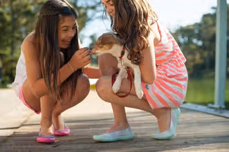 Paws & Facts: A Fun Dog Trivia Challenge