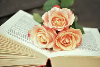 Bücherzauber für kleine Leser