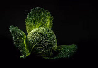 Essen-Quiz: Kulinarische Rätsel für schlaue Köpfe