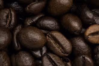 Kaffee-Quiz für Entdecker: Wissen, Spaß & Bohnen