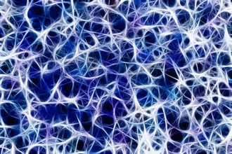 Nervensystem: Rätsel im Kopf & Körper