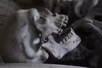 Bone Quest: Fun Facts About Your Skeletal System