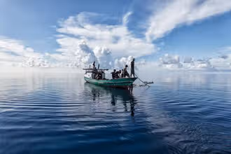Splash into Fish Fun! A Beginner Quiz for Young Explorers