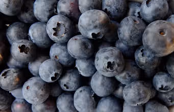 Food Fun: Nutrition Quest!