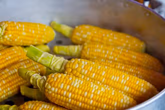 Nutrition Sleuths: Decode What Fuels You