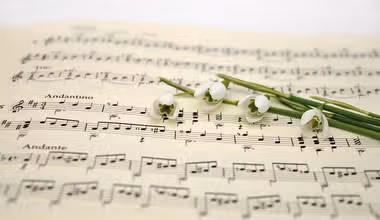 ¡Ritmo y Saberes: Trivia Musical para Jóvenes!