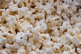 Cinéma: Décode les Rouages du 7e Art