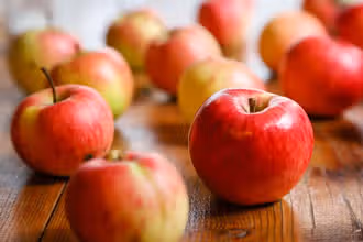 Super Quiz Nutrition pour Petits Explorateurs
