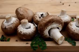 מסע הטעמים הגדול: מי יהיה אלוף הטריוויה הקולינרית?