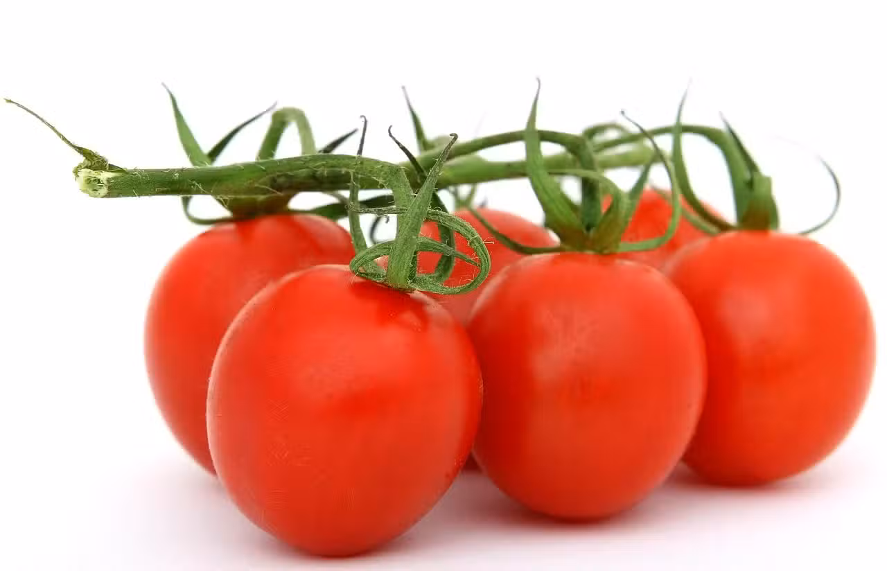Aventuras en la Cocina: ¡Descubre la Nutrición!