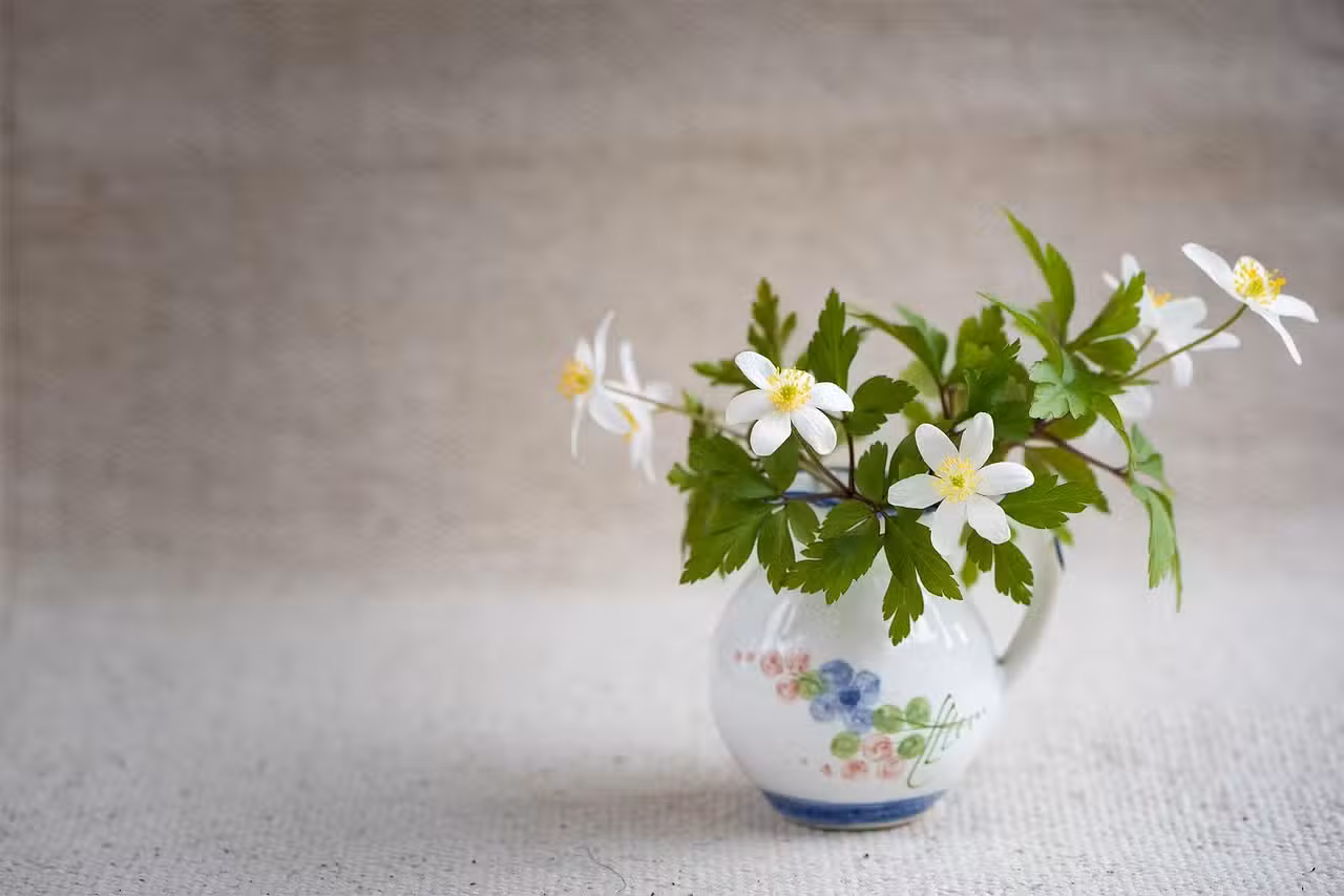 Abenteuer Weltraum: Frühe Raumfahrt-Quiz