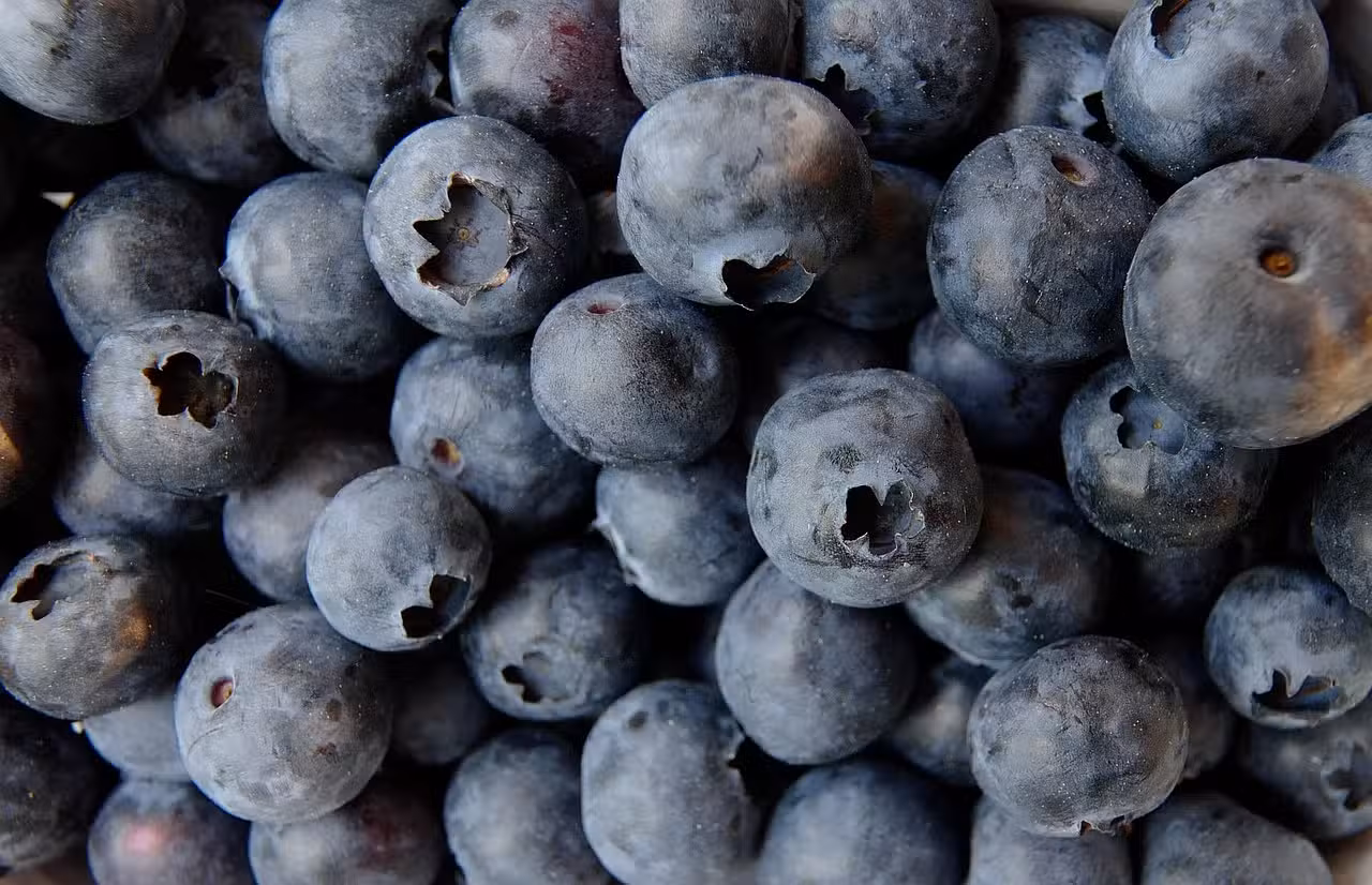 Food Facts Frenzy: Nutrition Quiz for Curious Kids