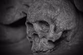 Весёлая викторина: Тайны нашей костной системы